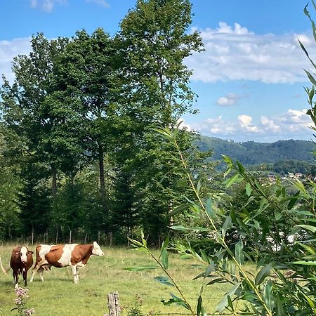 Vogesenparadies Kirchberg Buitenkant foto